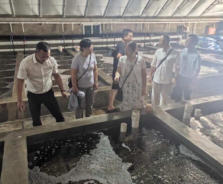 科技賦能，綠色養(yǎng)殖 福建科特派攜手霞浦企業(yè)推動(dòng)海參產(chǎn)業(yè)鏈升級(jí)與室內(nèi)環(huán)境治理