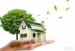 蘇州醛盾環保 專業守護車內與室內空氣健康，打造清新呼吸環境